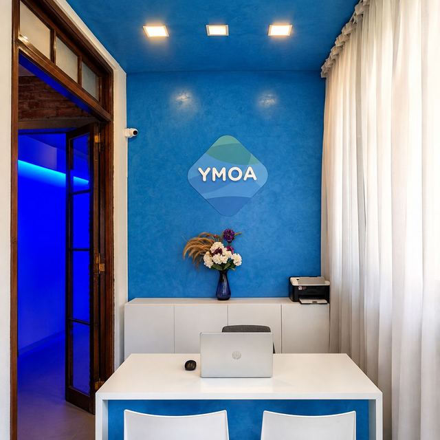Recepción de YMOA